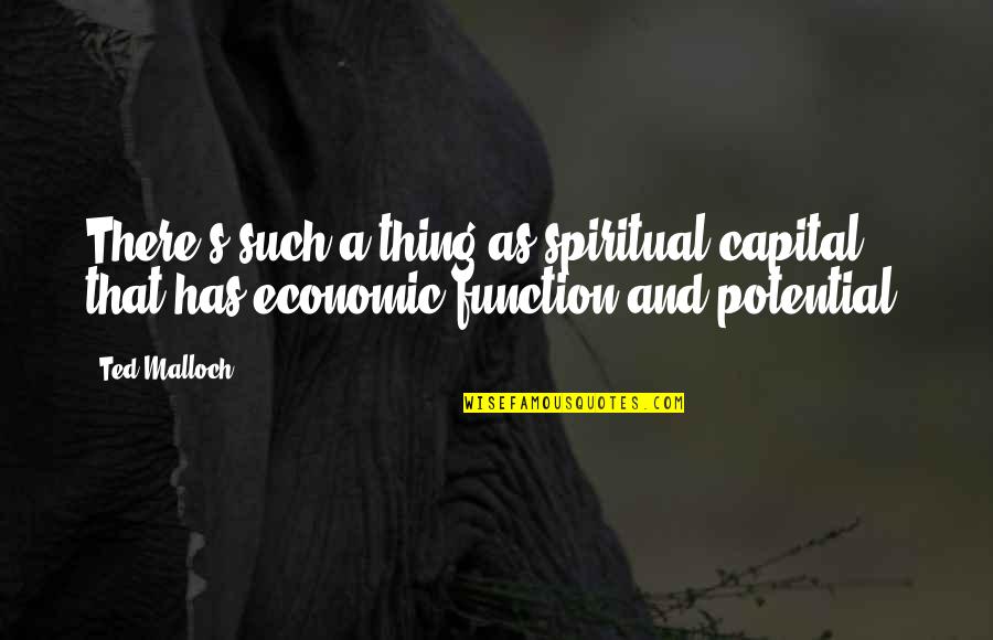 Confident And Humble Quotes By Ted Malloch: There's such a thing as spiritual capital that