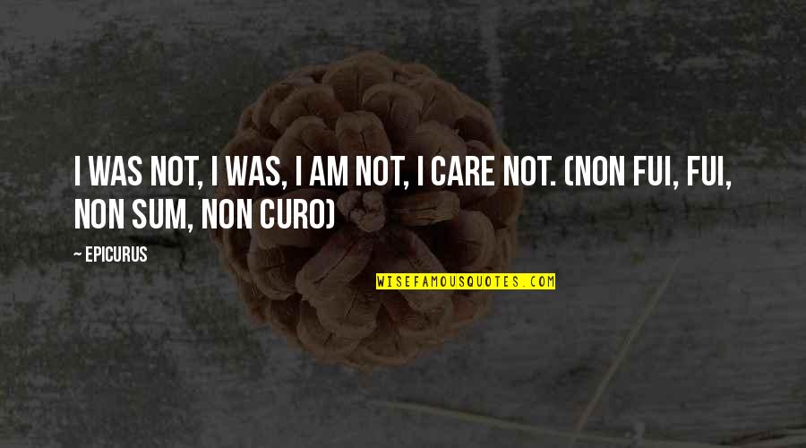 Confident And Independent Quotes By Epicurus: I was not, I was, I am not,