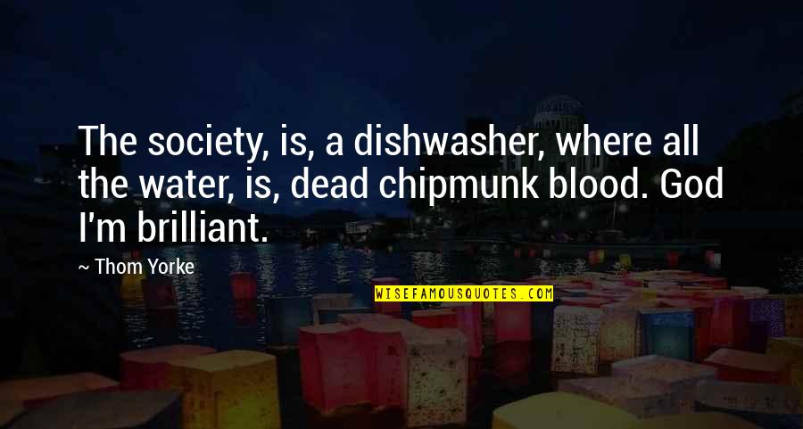 Confident Man Quotes By Thom Yorke: The society, is, a dishwasher, where all the