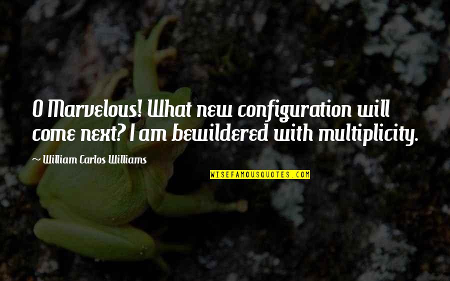 Configuration Quotes By William Carlos Williams: O Marvelous! What new configuration will come next?