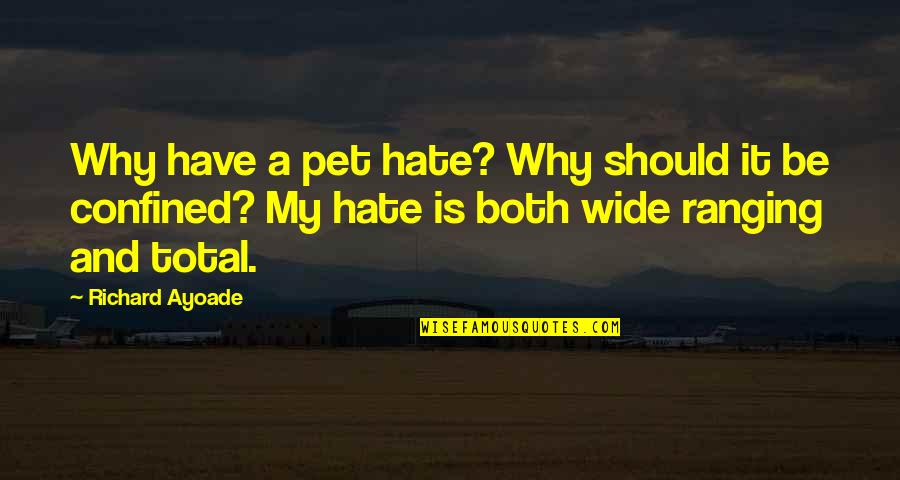 Confined Quotes By Richard Ayoade: Why have a pet hate? Why should it