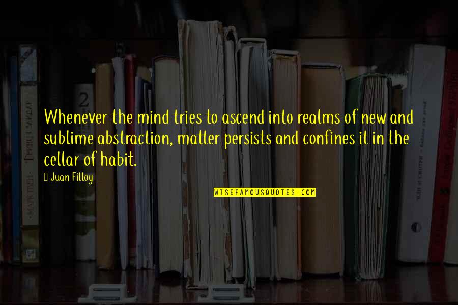 Confines Quotes By Juan Filloy: Whenever the mind tries to ascend into realms