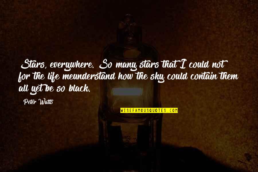 Confiscated Cars Quotes By Peter Watts: Stars, everywhere. So many stars that I could