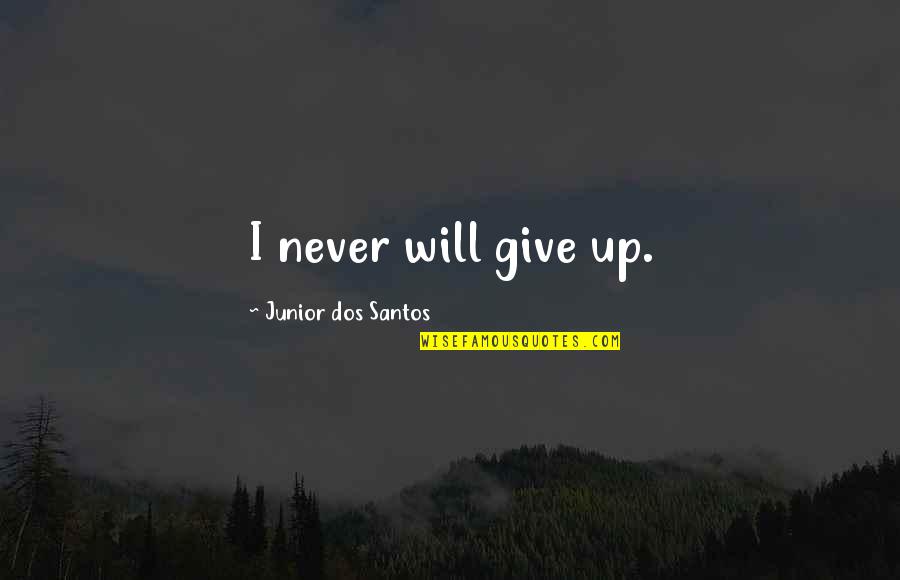 Confiscatory Law Quotes By Junior Dos Santos: I never will give up.