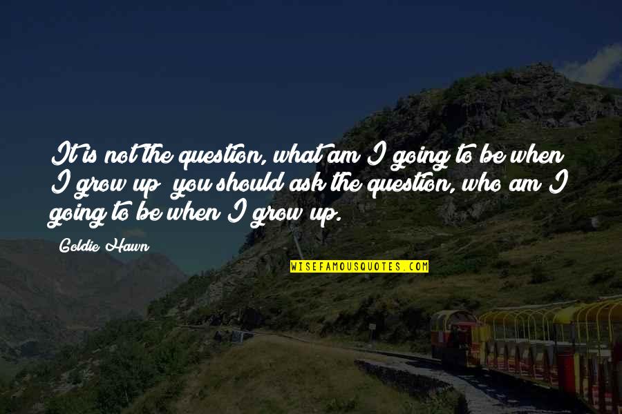 Conflict And Communication Quotes By Goldie Hawn: It is not the question, what am I