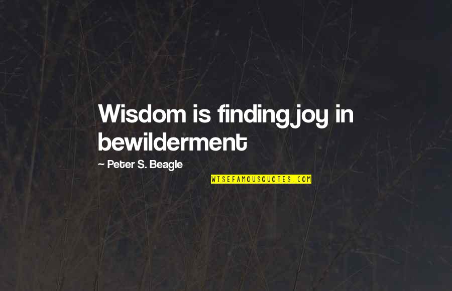 Conflict And Cooperation Quotes By Peter S. Beagle: Wisdom is finding joy in bewilderment