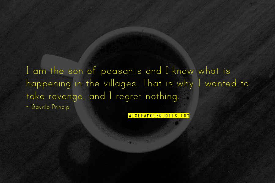 Conflict And Growth Quotes By Gavrilo Princip: I am the son of peasants and I Conflict And Growth Quotes By Gavrilo Princip: I am the son of peasants and I