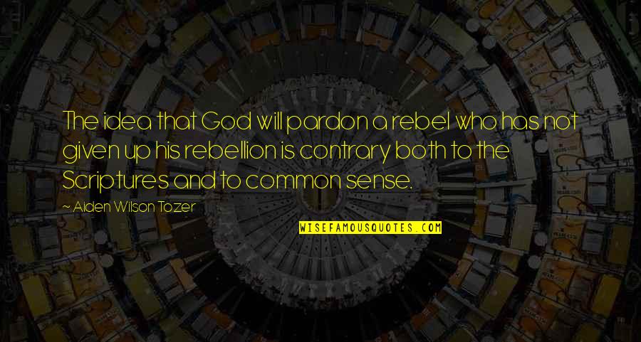 Conflict And Leadership Quotes By Aiden Wilson Tozer: The idea that God will pardon a rebel