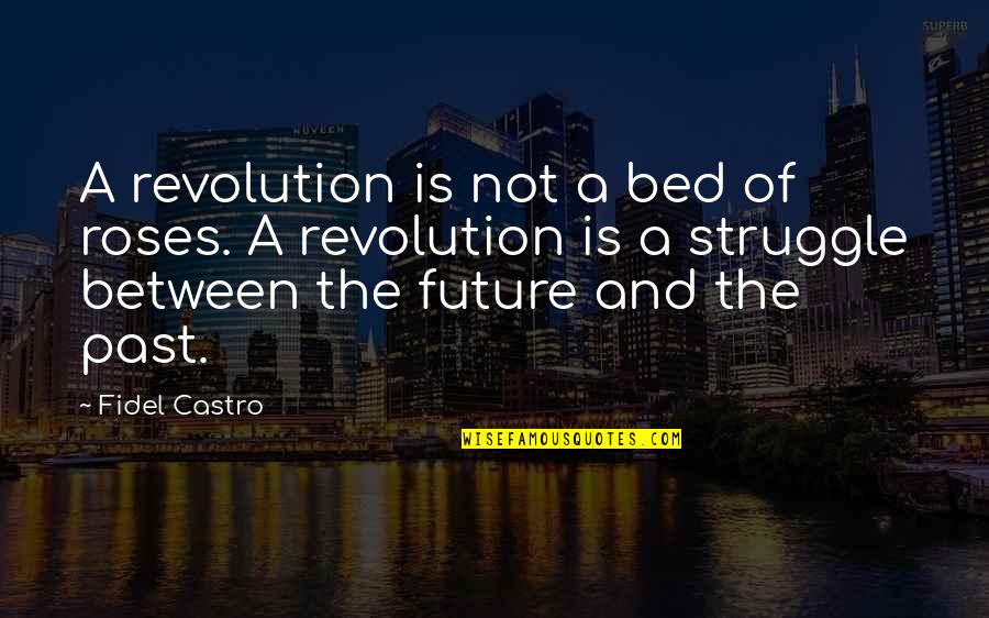 Conflict And Struggle Quotes By Fidel Castro: A revolution is not a bed of roses.