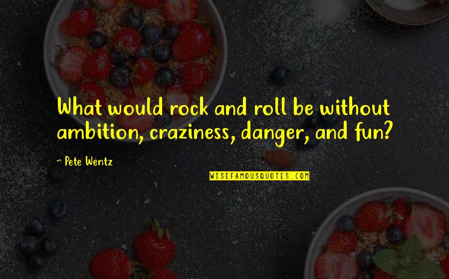 Conflict Between Father And Son Quotes By Pete Wentz: What would rock and roll be without ambition,