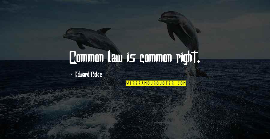 Conflicted Emotions Quotes By Edward Coke: Common law is common right.