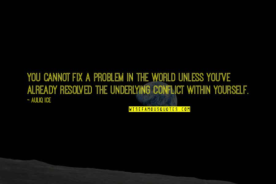 Conflicts Resolution Quotes By Auliq Ice: You cannot fix a problem in the world