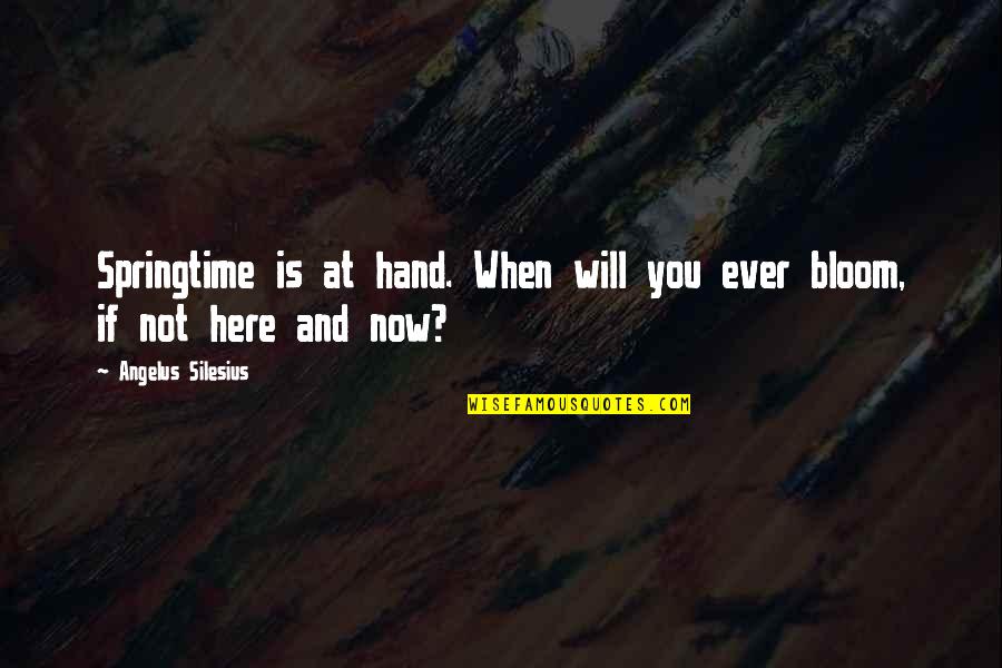 Confluir Significado Quotes By Angelus Silesius: Springtime is at hand. When will you ever