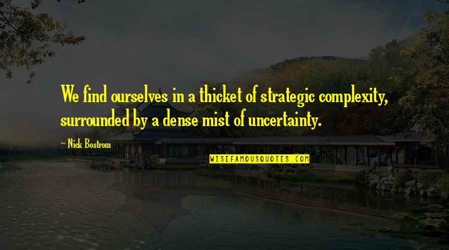 Conflux Lost Quotes By Nick Bostrom: We find ourselves in a thicket of strategic