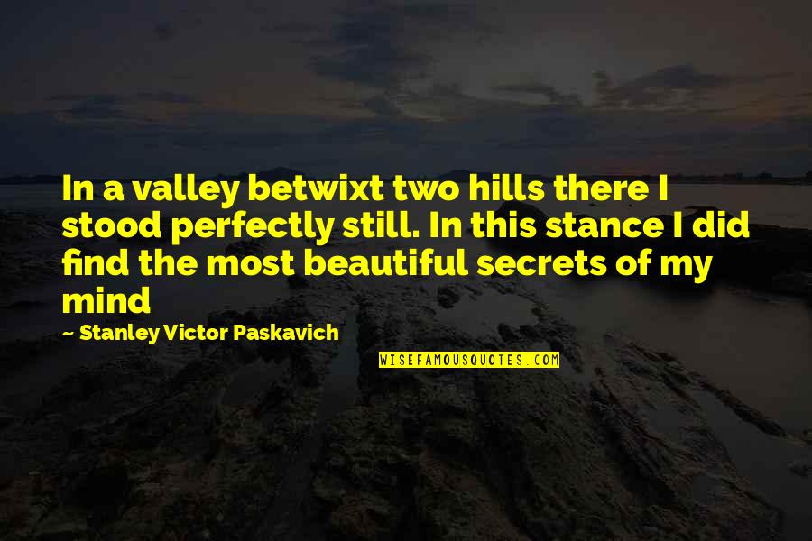 Conformidades Quotes By Stanley Victor Paskavich: In a valley betwixt two hills there I