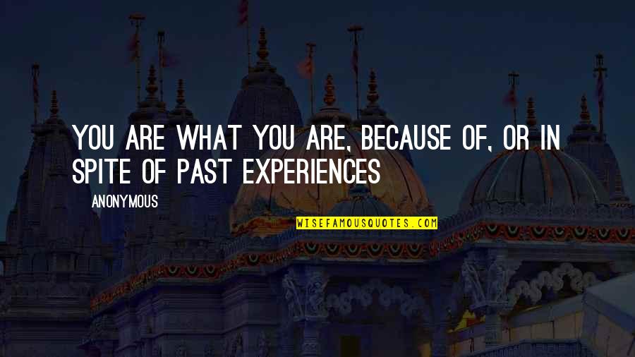 Conformity In Society Quotes By Anonymous: You are what you are, because of, or
