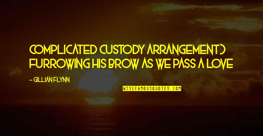 Conformity In Society Quotes By Gillian Flynn: Complicated custody arrangement) furrowing his brow as we