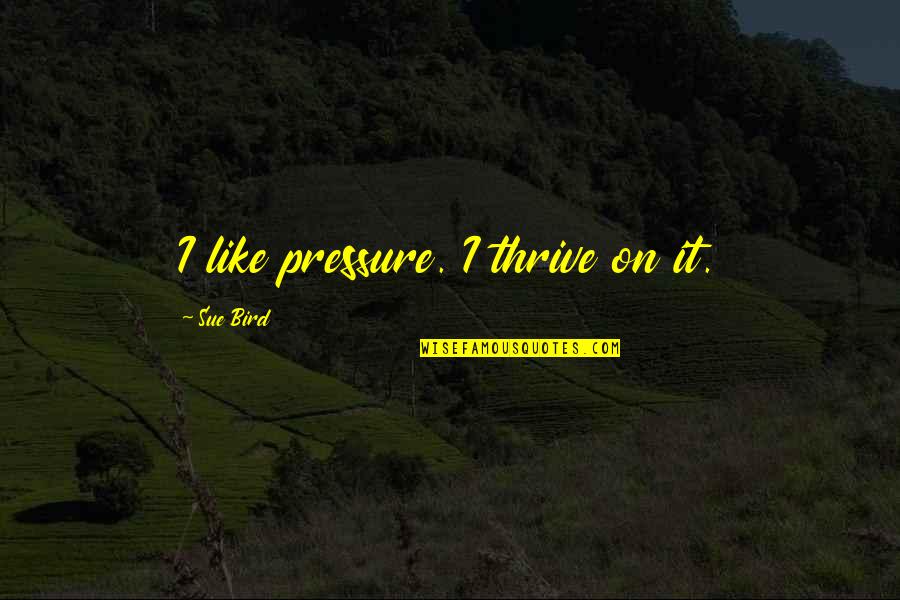 Confounding Factor Quotes By Sue Bird: I like pressure. I thrive on it.