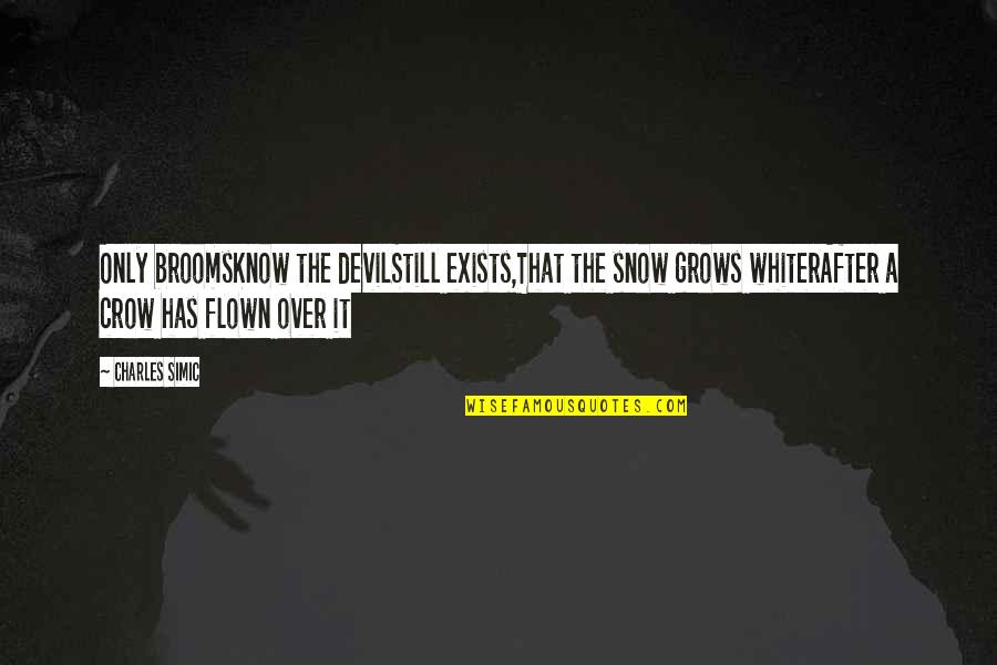 Confraternity Bible Quotes By Charles Simic: Only broomsKnow the devilStill exists,That the snow grows