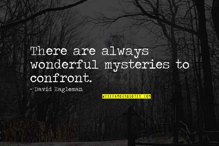 Confront Quotes By David Eagleman: There are always wonderful mysteries to confront.