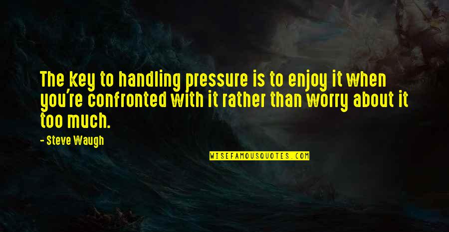 Confronted Quotes By Steve Waugh: The key to handling pressure is to enjoy