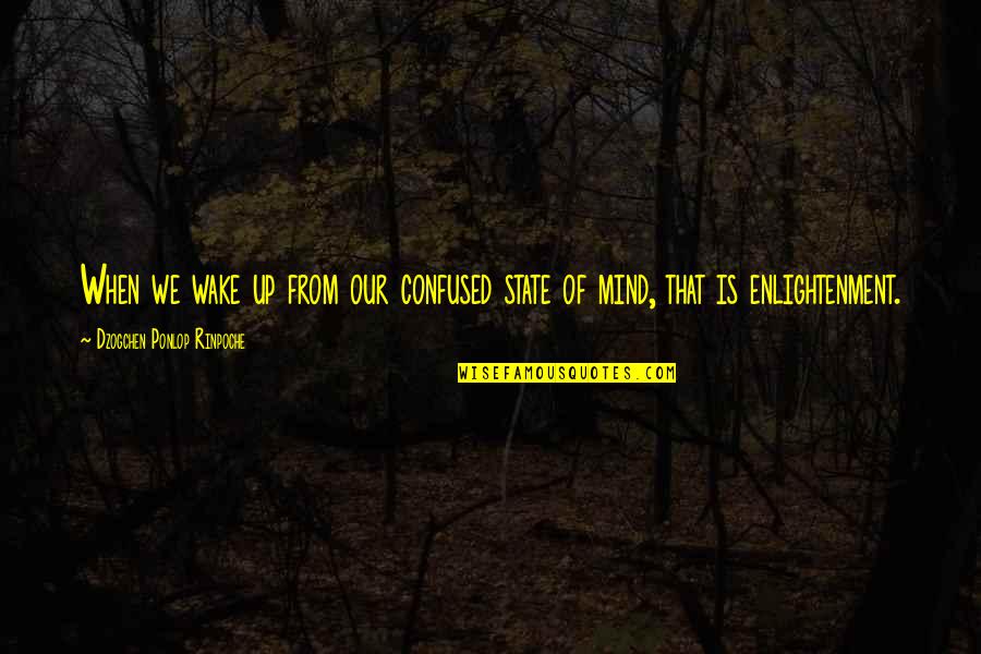 Confucianism Beliefs Quotes By Dzogchen Ponlop Rinpoche: When we wake up from our confused state Confucianism Beliefs Quotes By Dzogchen Ponlop Rinpoche: When we wake up from our confused state