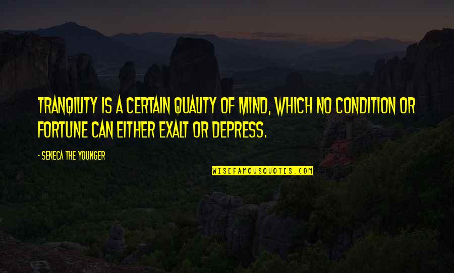 Confucianism Love Quotes By Seneca The Younger: Tranqility is a certain quality of mind, which