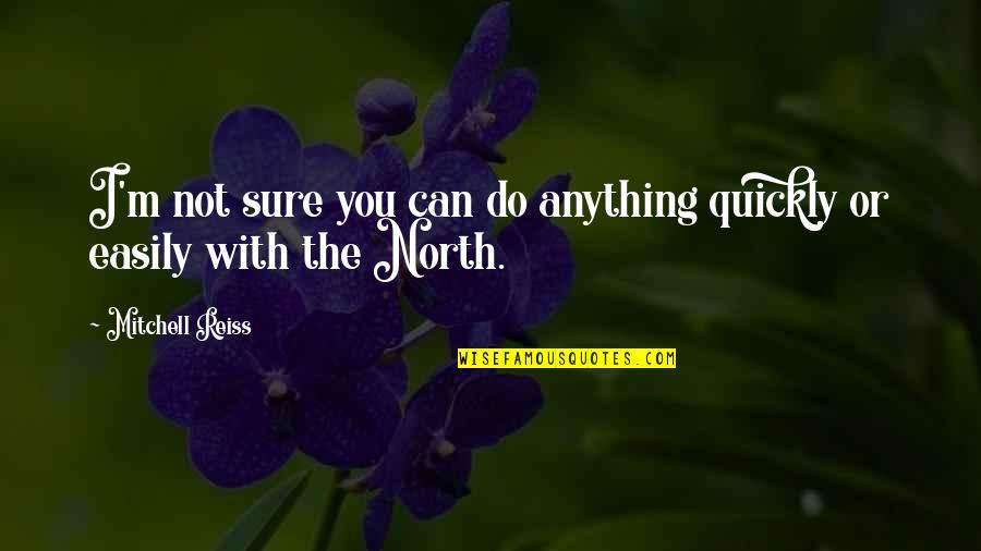 Confucius Analects Quotes By Mitchell Reiss: I'm not sure you can do anything quickly