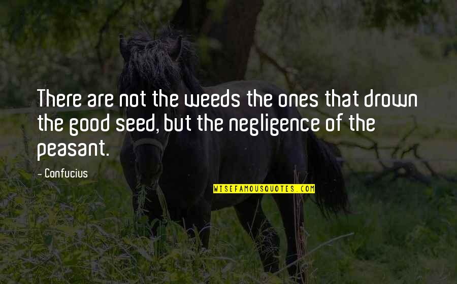 Confucius Quotes By Confucius: There are not the weeds the ones that Confucius Quotes By Confucius: There are not the weeds the ones that