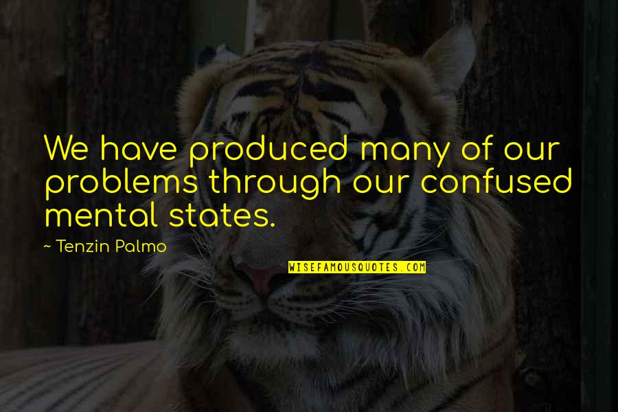 Confused Quotes By Tenzin Palmo: We have produced many of our problems through