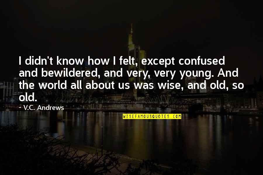 Confused Quotes By V.C. Andrews: I didn't know how I felt, except confused