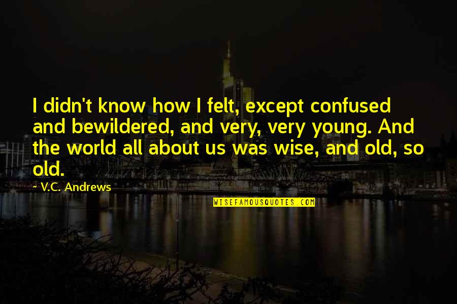 Confused World Quotes By V.C. Andrews: I didn't know how I felt, except confused