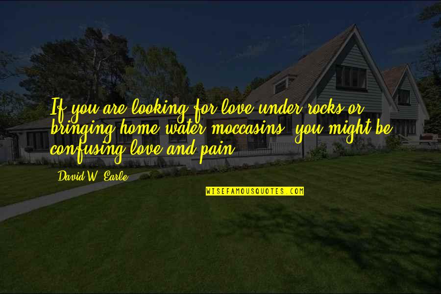 Confusing Relationships Quotes By David W. Earle: If you are looking for love under rocks