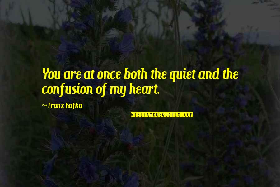 Confusion Of The Heart Quotes By Franz Kafka: You are at once both the quiet and