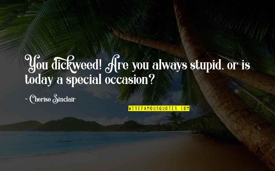 Confusione Battisti Quotes By Cherise Sinclair: You dickweed! Are you always stupid, or is Confusione Battisti Quotes By Cherise Sinclair: You dickweed! Are you always stupid, or is