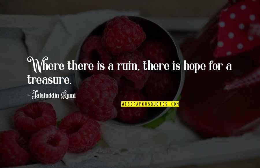 Congresspersons Supporting Quotes By Jalaluddin Rumi: Where there is a ruin, there is hope