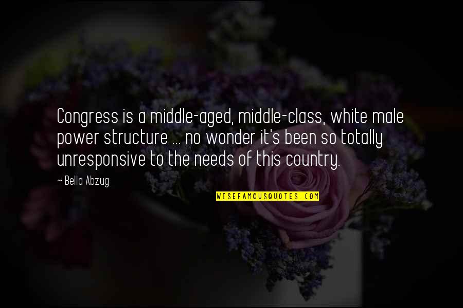 Congress's Quotes By Bella Abzug: Congress is a middle-aged, middle-class, white male power