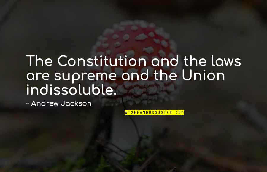 Conicet Quotes By Andrew Jackson: The Constitution and the laws are supreme and