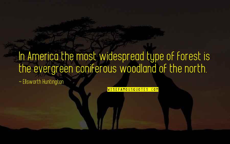 Coniferous Quotes By Ellsworth Huntington: In America the most widespread type of forest