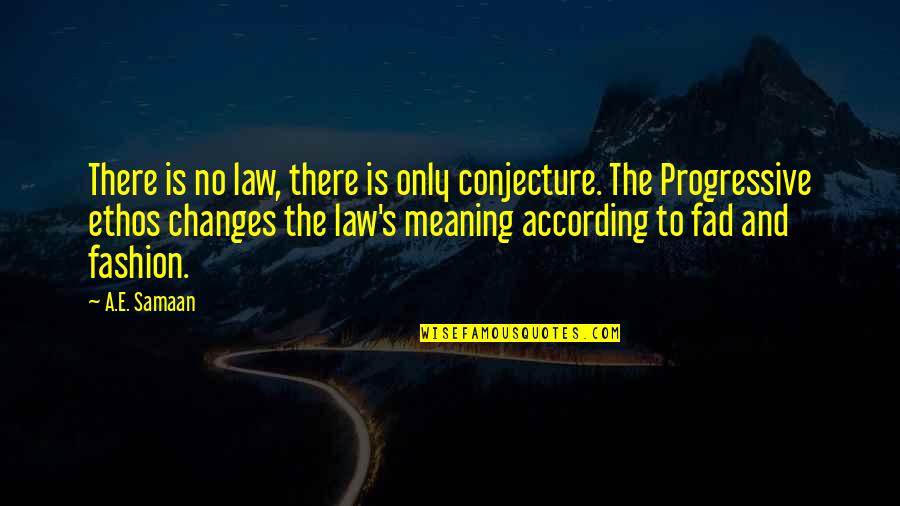 Conjecture Quotes By A.E. Samaan: There is no law, there is only conjecture.