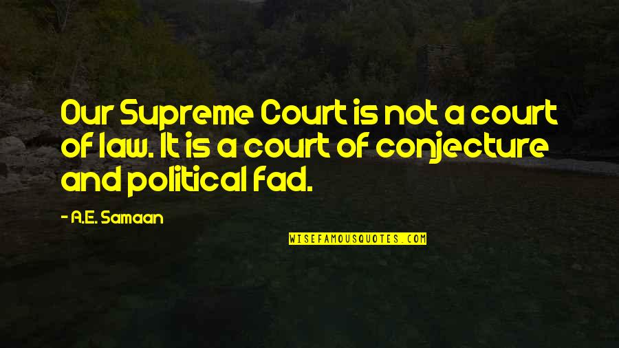Conjecture Quotes By A.E. Samaan: Our Supreme Court is not a court of