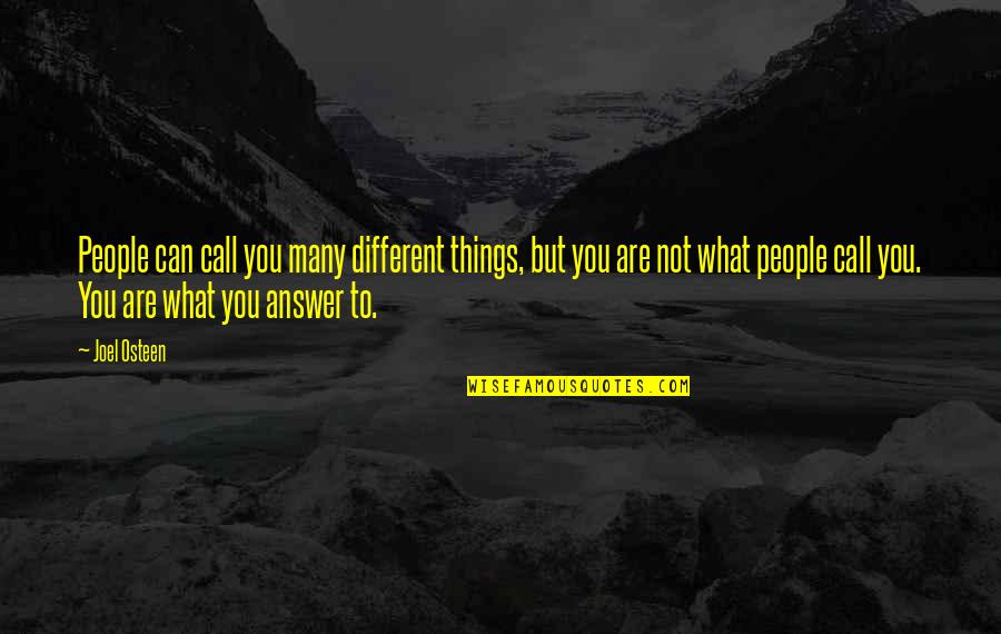 Conjoint De Fait Quotes By Joel Osteen: People can call you many different things, but