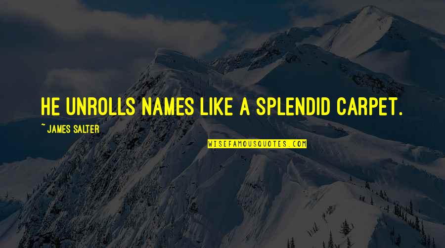 Conlangers Quotes By James Salter: He unrolls names like a splendid carpet. Conlangers Quotes By James Salter: He unrolls names like a splendid carpet.