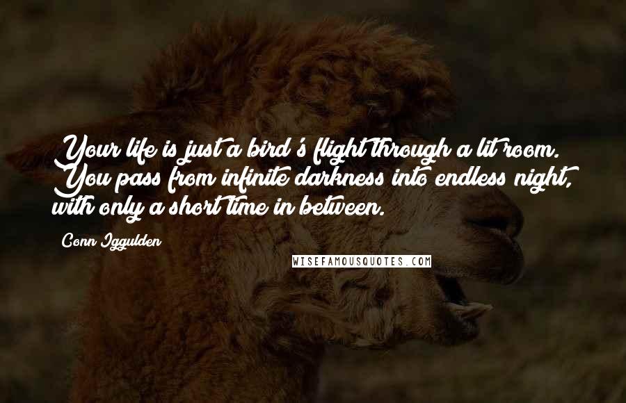 Conn Iggulden quotes: Your life is just a bird's flight through a lit room. You pass from infinite darkness into endless night, with only a short time in between.