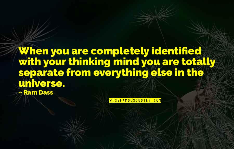 Connecting To Nature Quotes By Ram Dass: When you are completely identified with your thinking