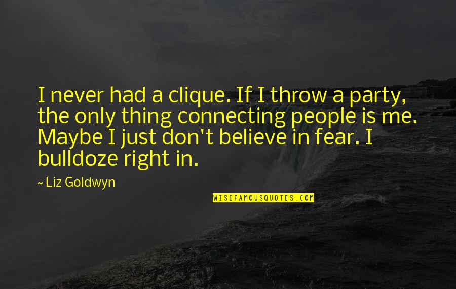 Connecting To People Quotes By Liz Goldwyn: I never had a clique. If I throw