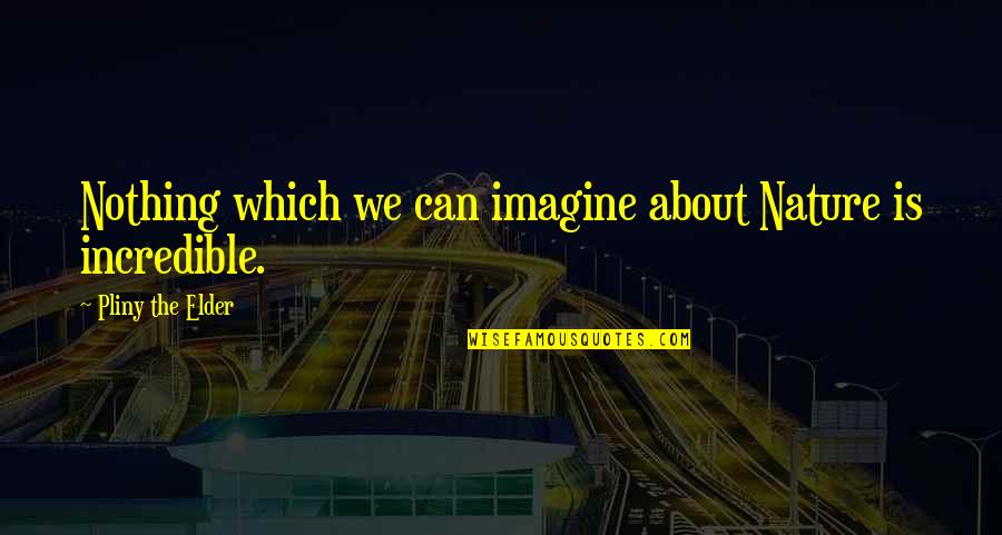 Connecting With Friends Quotes By Pliny The Elder: Nothing which we can imagine about Nature is