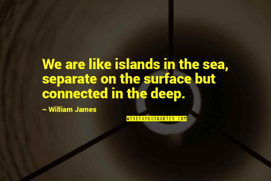 Connection And Friendship Quotes By William James: We are like islands in the sea, separate