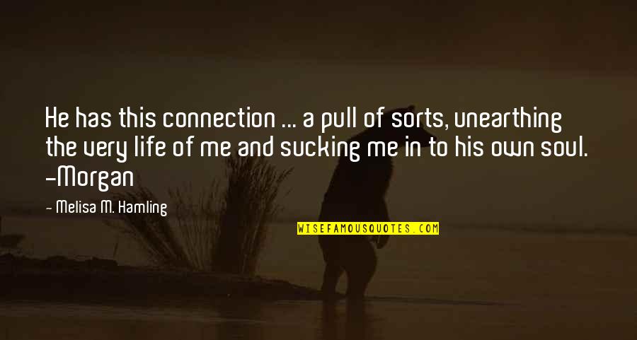 Connection Soul Quotes By Melisa M. Hamling: He has this connection ... a pull of