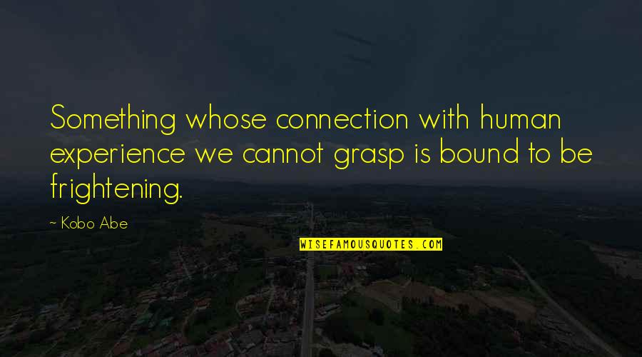 Connection To Nature Quotes By Kobo Abe: Something whose connection with human experience we cannot